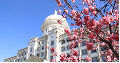 云南师范大学商学院4